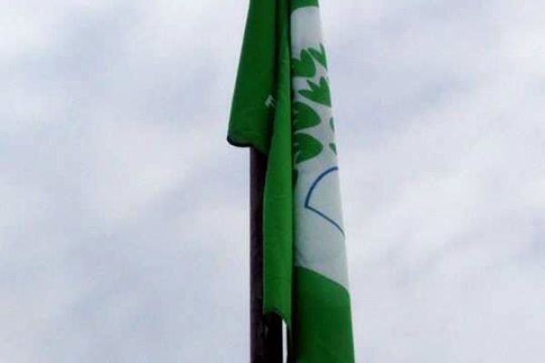 eco-bandeira294E9721A-4B57-1B86-CAC9-B5F8F31189AA.jpg